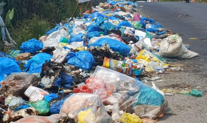 Warga Batang Gadis Tercekik Bau Sampah, DLH Diminta Bertindak Tegas Warga Batang Gadis Tercekik Bau Sampah, DLH Diminta Bertindak Tegas